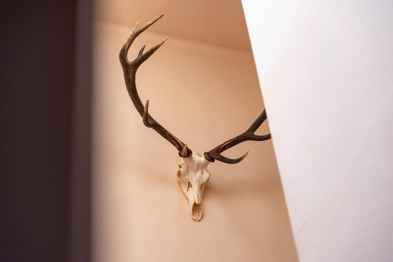 Hotel Le Cor De Chasse Saint-Hubert Ngoại thất bức ảnh